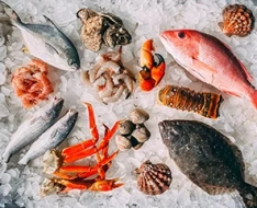 Питательные среды для микробиологического исследования рыбы и рыбных продуктов