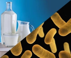 Питательные среды для микробиологического исследования молока и молочных продуктов